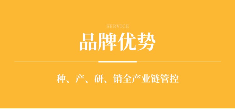 品牌优势