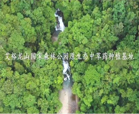 龙山国家森林公园