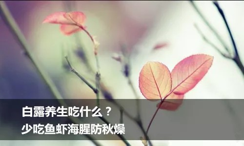 少吃鱼虾防呼吸道疾病