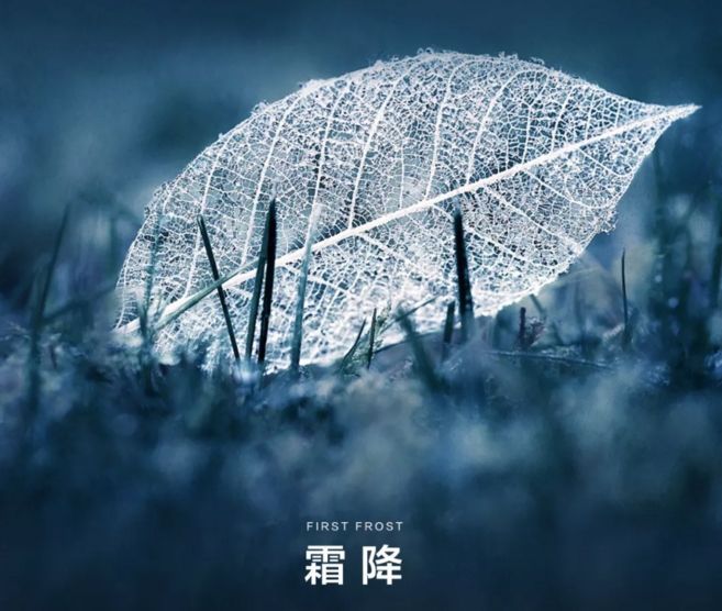 微信图片_20221022140853.jpg