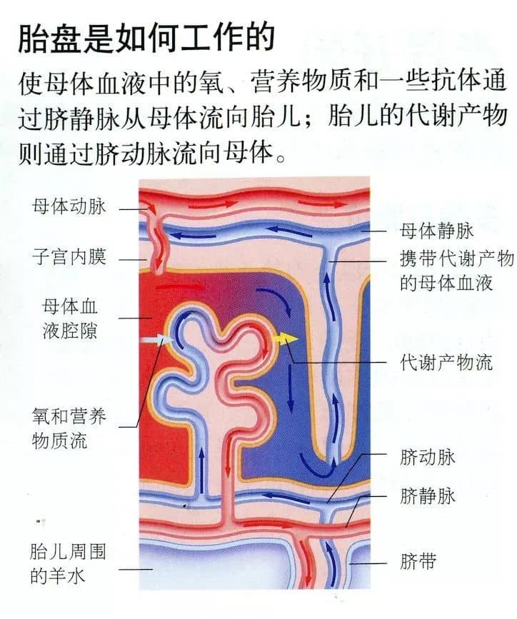微信图片_20230622082812.jpg